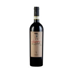 Amarone della Valpolicella DOCG Classico 2013 Secondo Marco