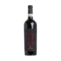 Pian delle Vigne Brunello di Montalcino DOCG 2019 Riserva Antinori