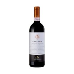 Carapace Montefalco Sagrantino DOCG 2019 Tenuta Lunelli