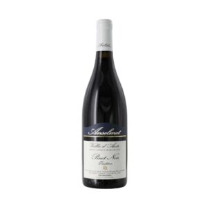 Pinot Noir Doc Tradition 2022 Anselmet